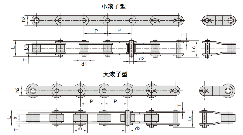 雙倍節距-大小滾子.png
